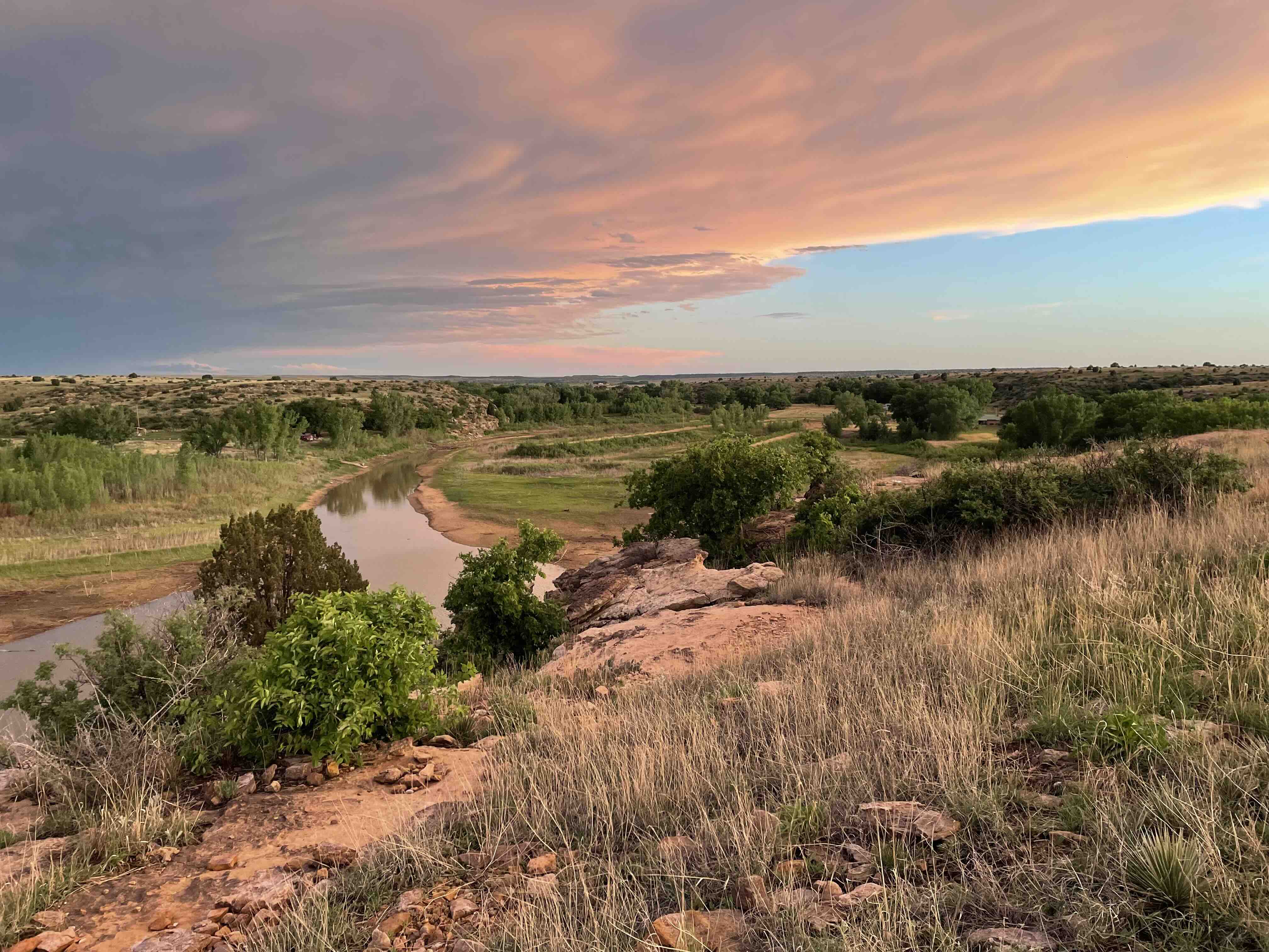 Cultivate Resilience