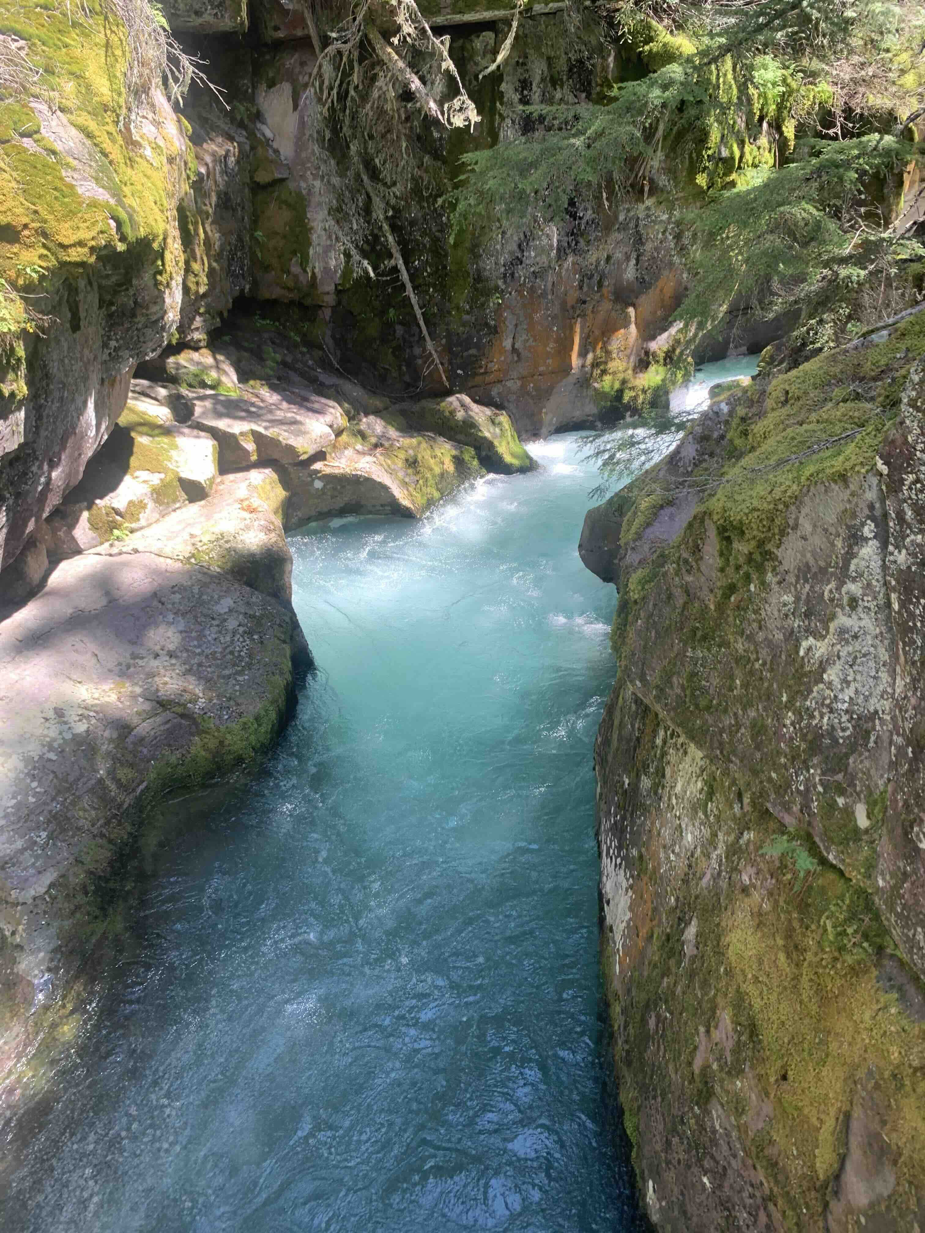 Reconnect with Nature