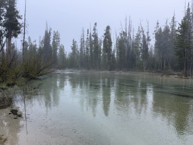 Pale blue-green river water flowing through a forest